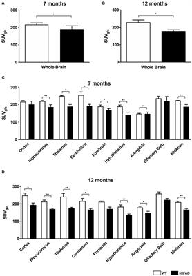 In vivo Imaging With 18F-FDG- and 18F-Florbetaben-PET/MRI Detects Pathological Changes in the Brain of the Commonly Used 5XFAD Mouse Model of Alzheimer's Disease